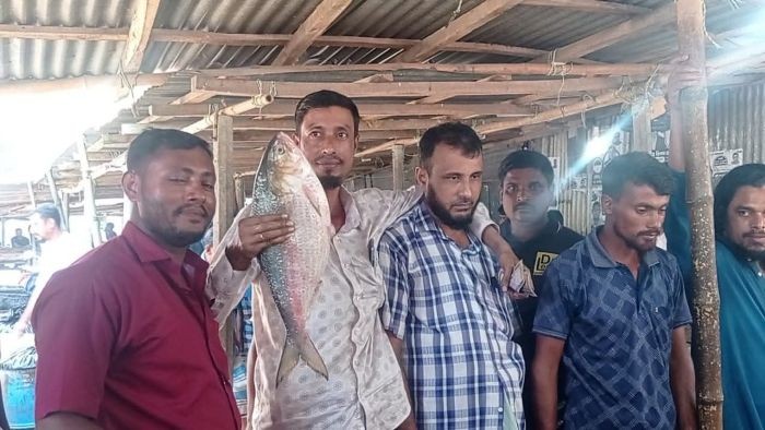 লক্ষ্মীপুরে এক ইলিশ বিক্রি হলো ৯ হাজার ২শ টাকায়