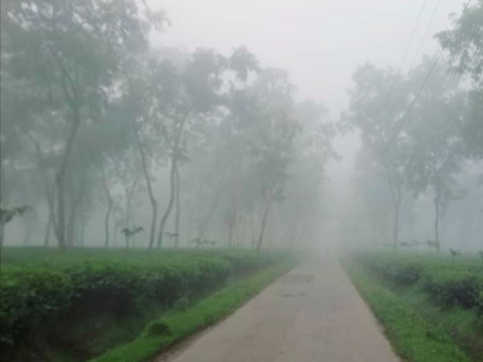 শ্রীমঙ্গলে তীব্র শীতের প্রভাব: দুই দিন ধরে ১১ ডিগ্রি সেলসিয়াস, চা বাগান এলাকায় বিপর্যস্ত জনজীবন