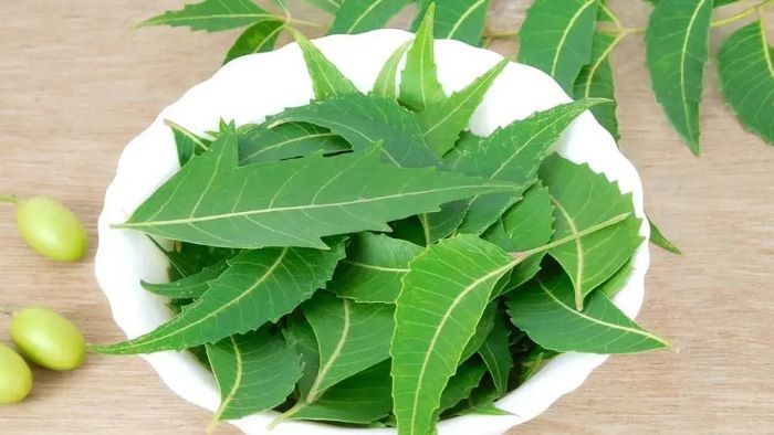 নিম কি অগ্ন্যাশয়ের ক্যানসার প্রতিরোধে কার্যকর?