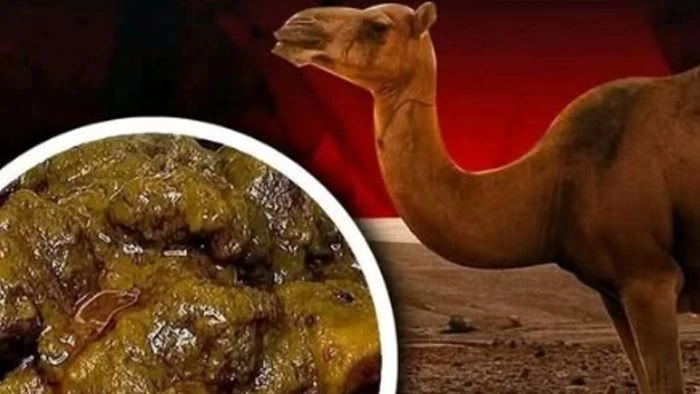 উটের গোশত খেলে অজু ভেঙে যায় কেন?